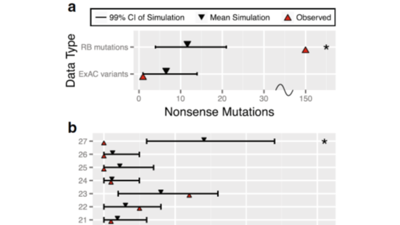 Assessment of <em>de novo</em> mutational burden via sequence context models